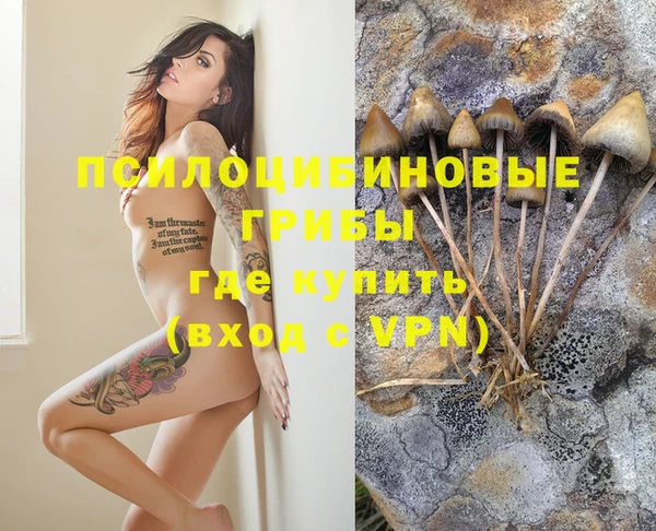 ешки Няндома