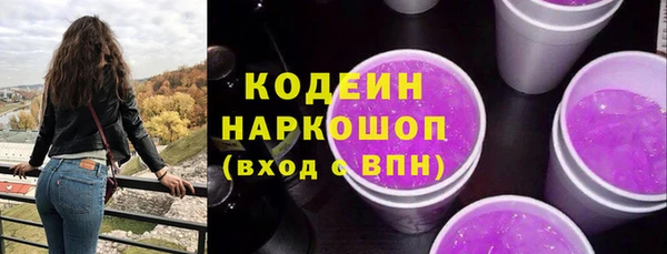 ешки Няндома