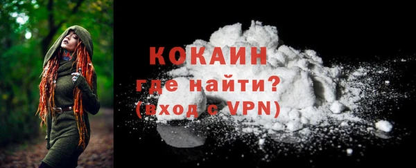 ешки Няндома