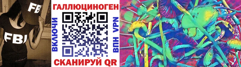 как найти закладки  мега ссылки  Псилоцибиновые грибы Cubensis  Пыталово 